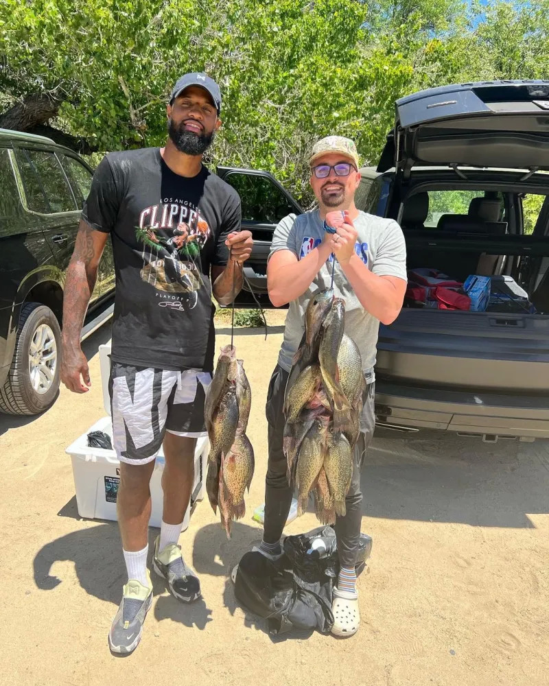 球迷与市场 球迷与市场